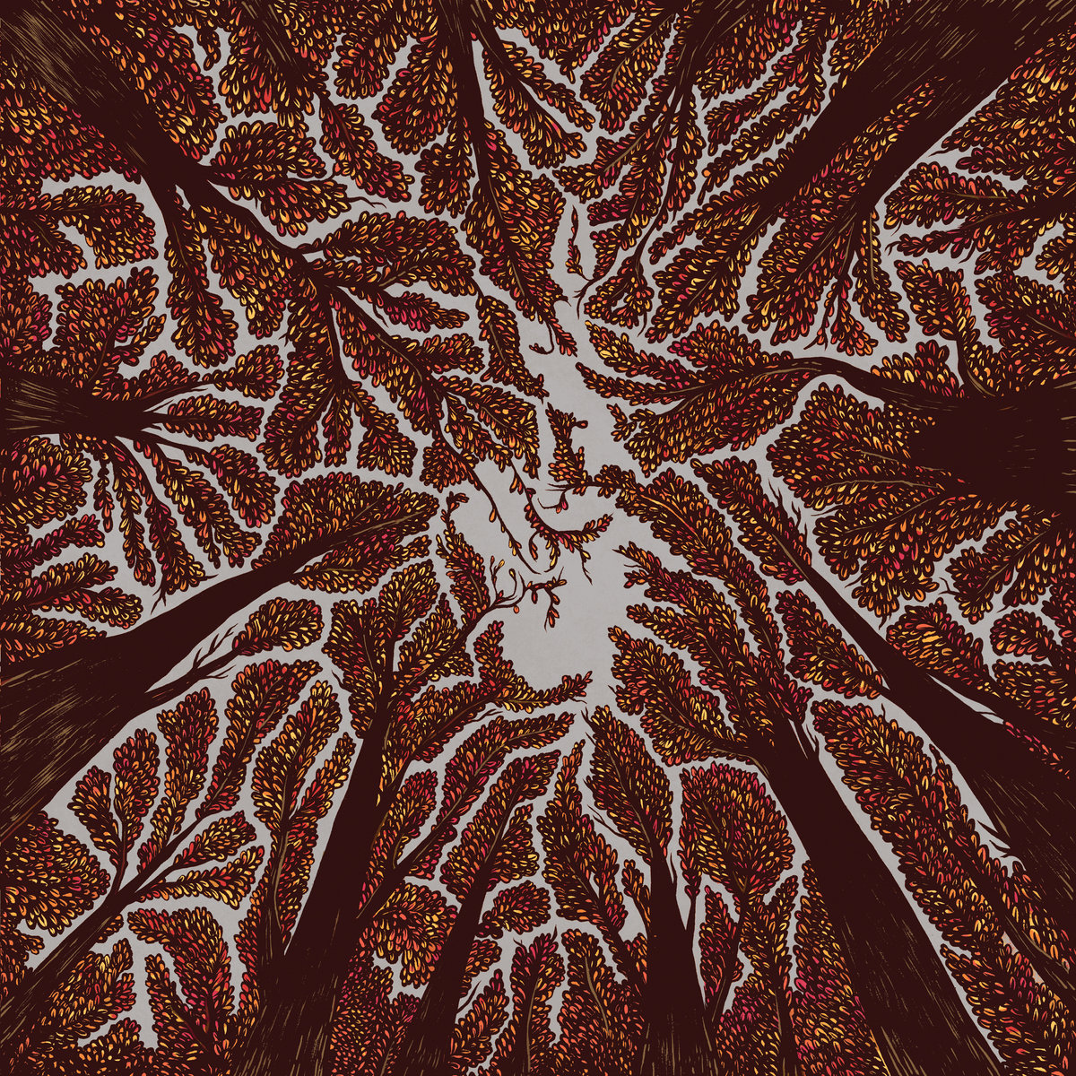 Album Review: Trash Boat “Crown Shyness”